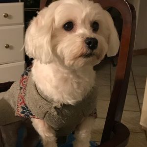 Meet your Posher, Teresa